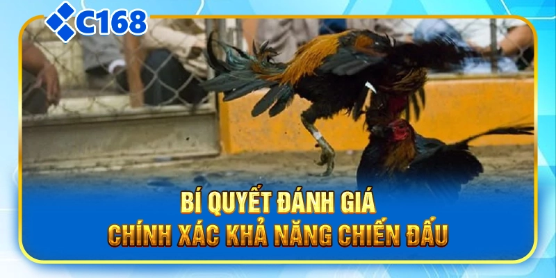 Bí quyết đánh giá chính xác khả năng chiến đấu