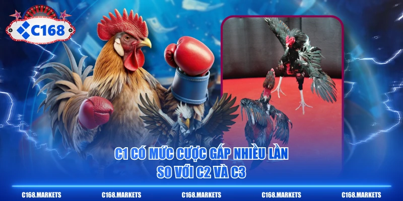 C1 có mức cược gấp nhiều lần so với C2 và C3